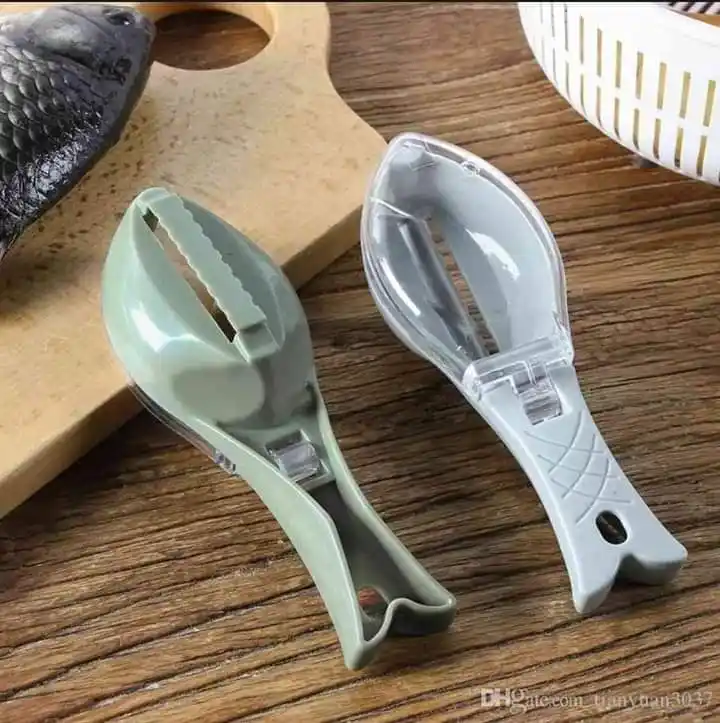 Fish Scale Remover