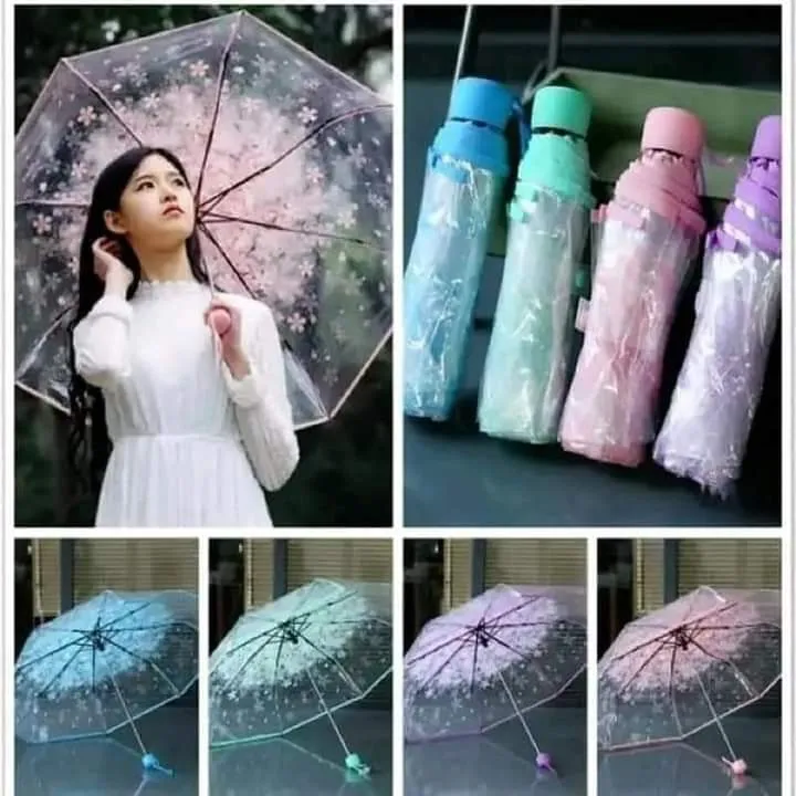 Transparent Umbrella